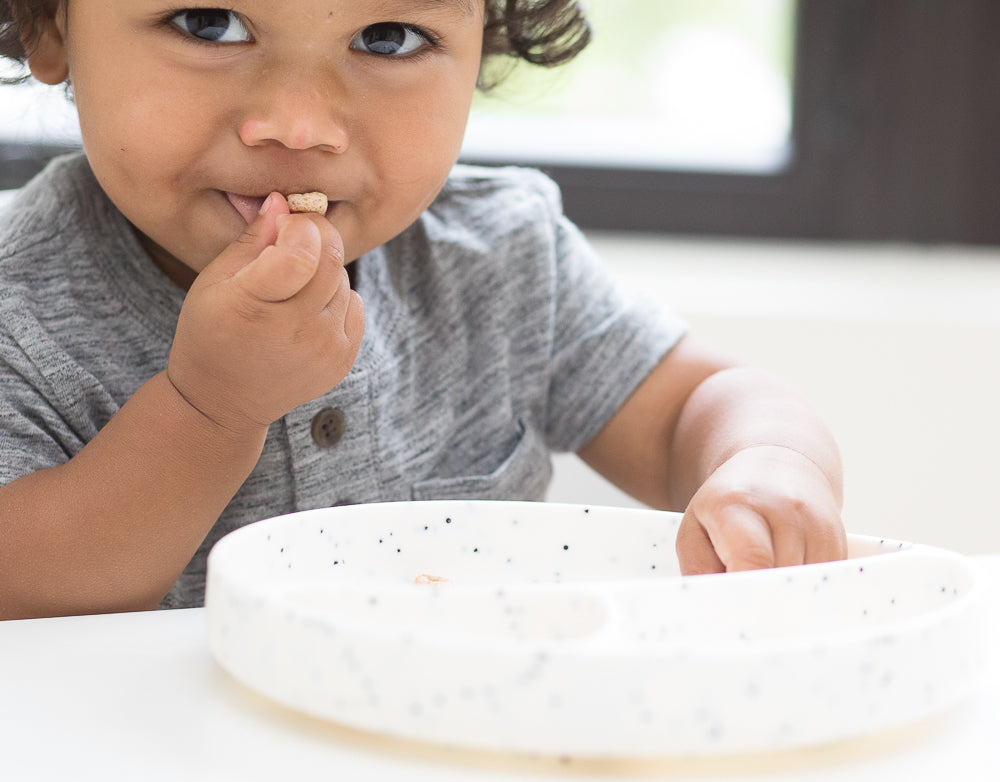 Speckle Wonder Plate