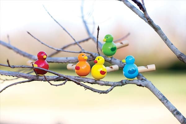 Itty Bitty Bird Whistles
