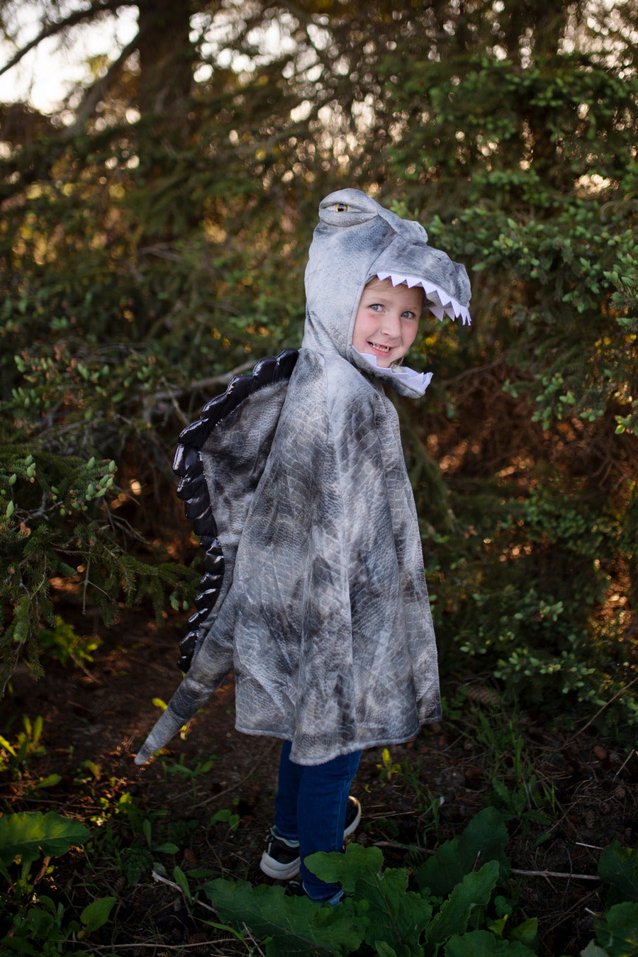 Grandasaurus Spinosaurus Cape, Grey (Size 4-6)