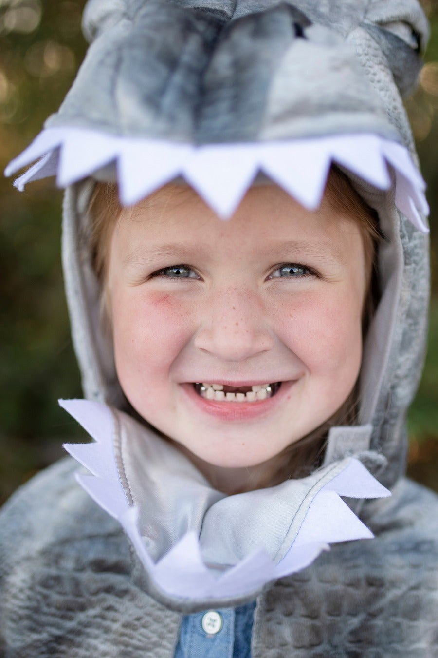 Grandasaurus Spinosaurus Cape, Grey (Size 4-6)