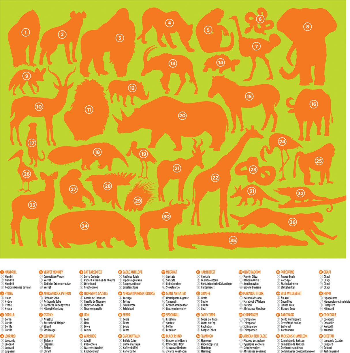 100-pc 36 Puzzle - Wild Animals