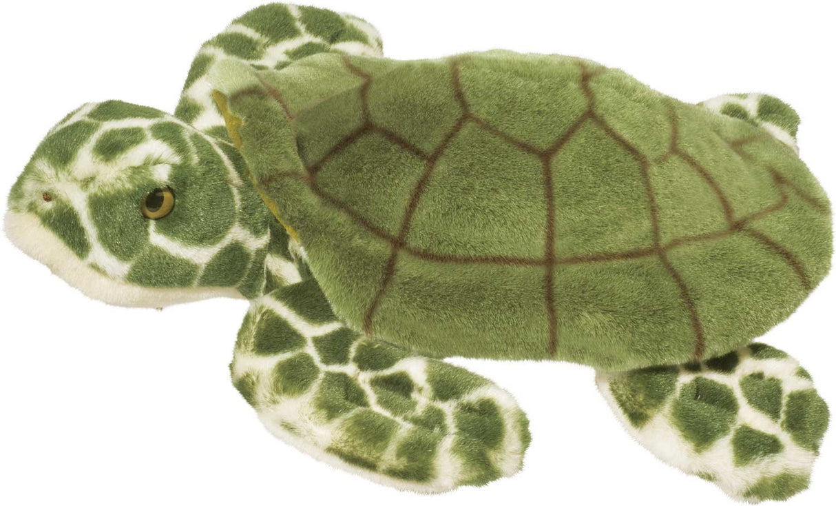 Toti Sea Turtle