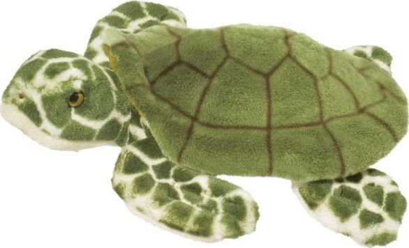 Toti Sea Turtle