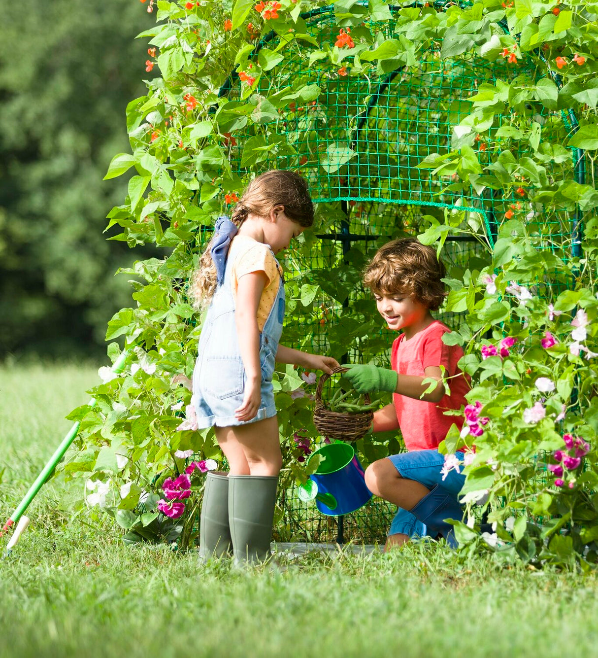 Domed Garden Fort