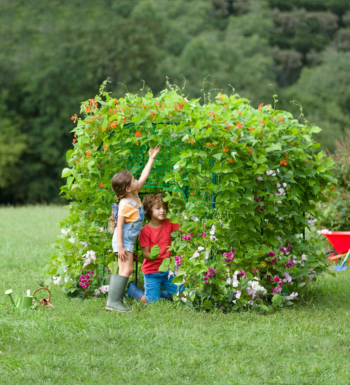 Domed Garden Fort