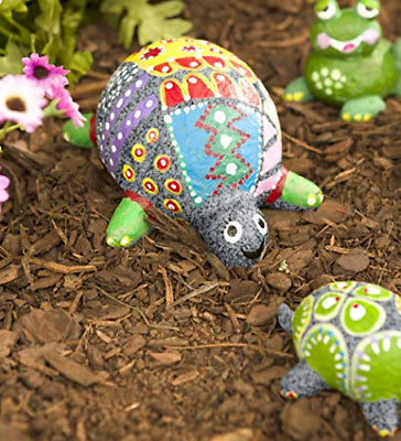 Paint A Rock Pet Kit