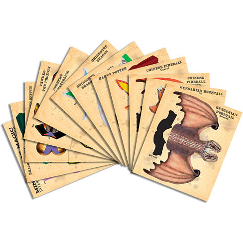 Harry Potter Paper Flyers