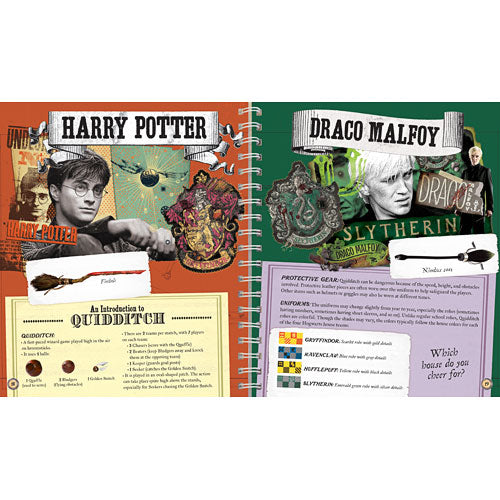 Harry Potter Paper Flyers