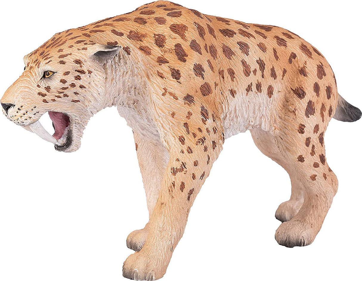 Sabretooth Tiger Smilodon