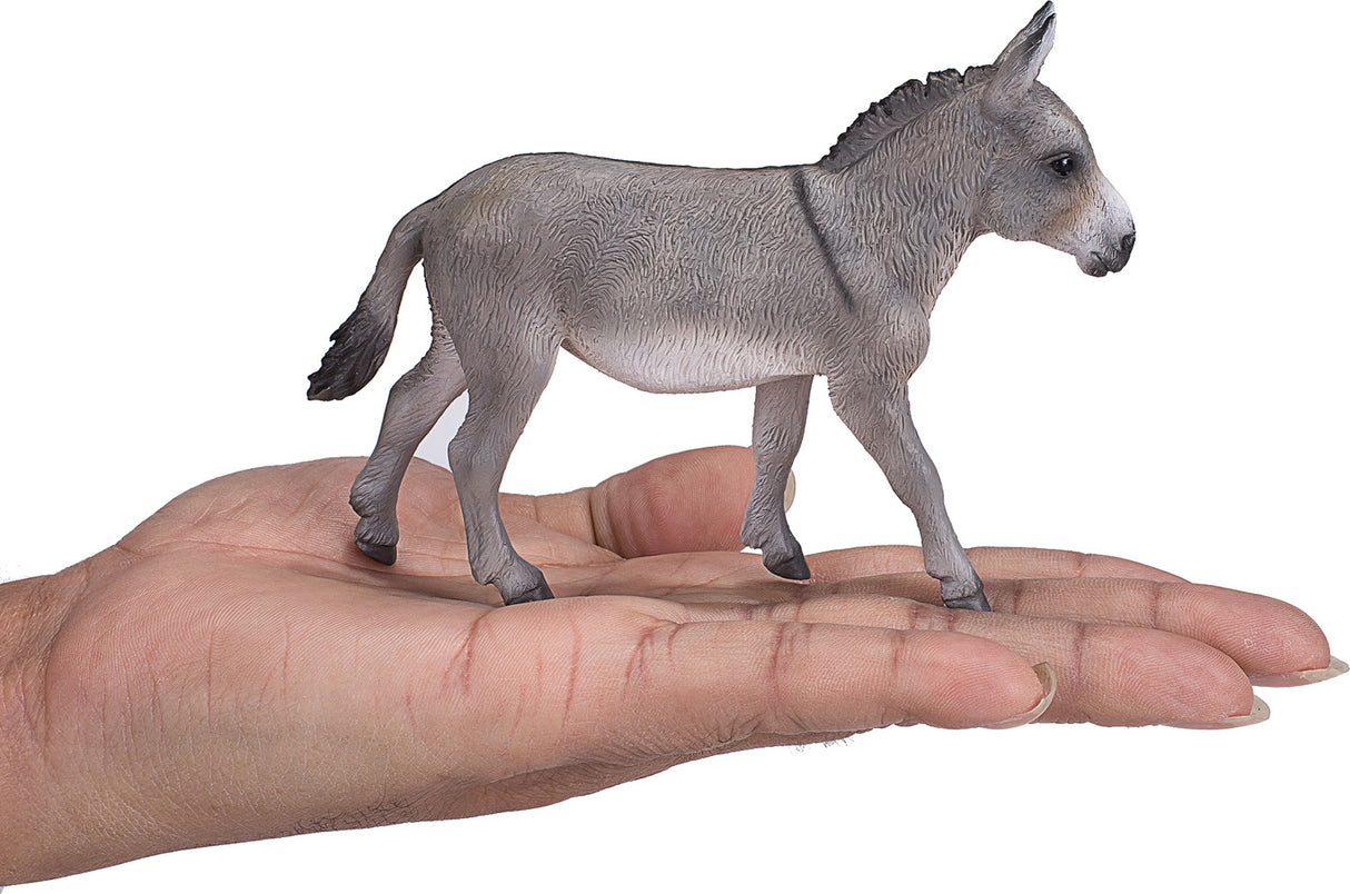 Donkey
