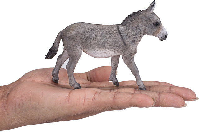 Donkey