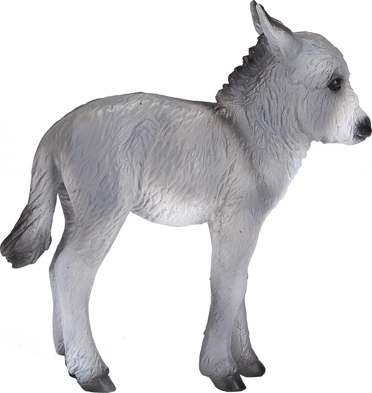 Donkey Foal