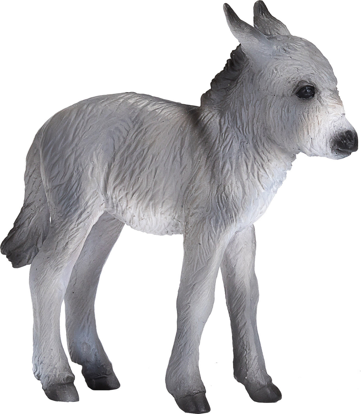 Donkey Foal