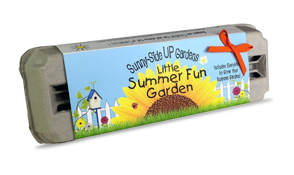 Sunny Side Up - Summer Fun