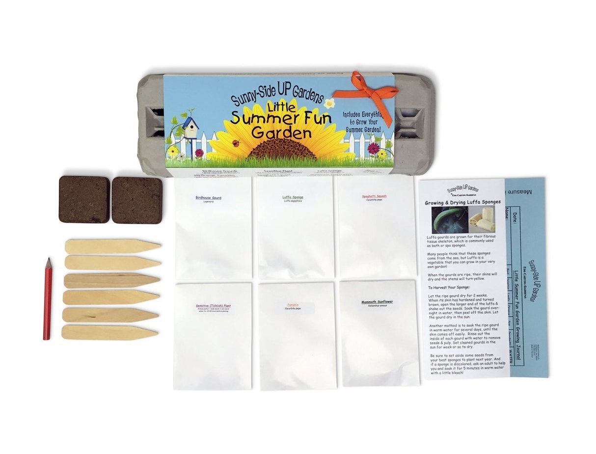 Sunny Side Up - Summer Fun