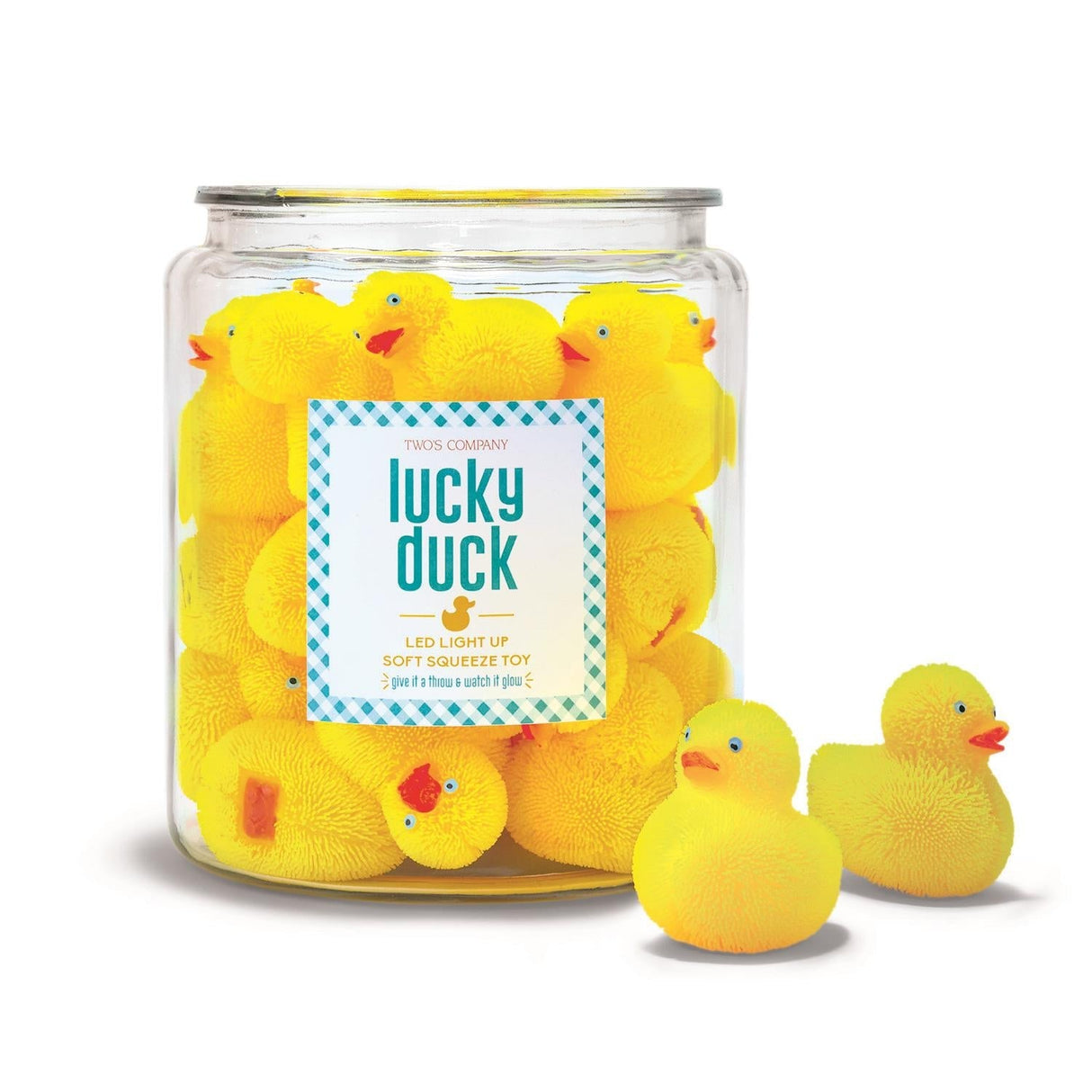 LED Duck Color Changing