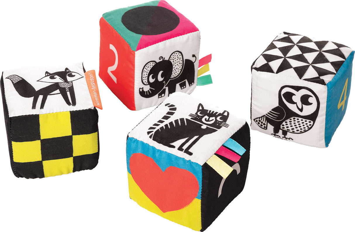 Wimmer Ferguson Mind Cube