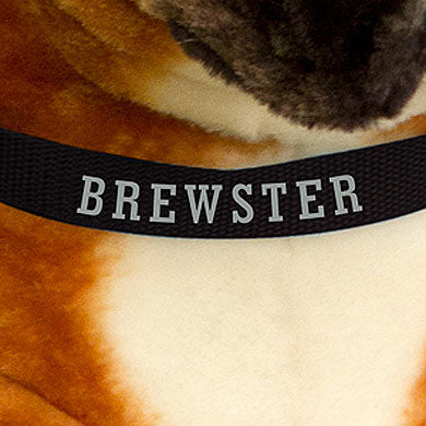 Boxer Dog Giant Stuffed Animal