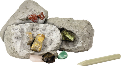 Dig It Up! Minerals And Fossils