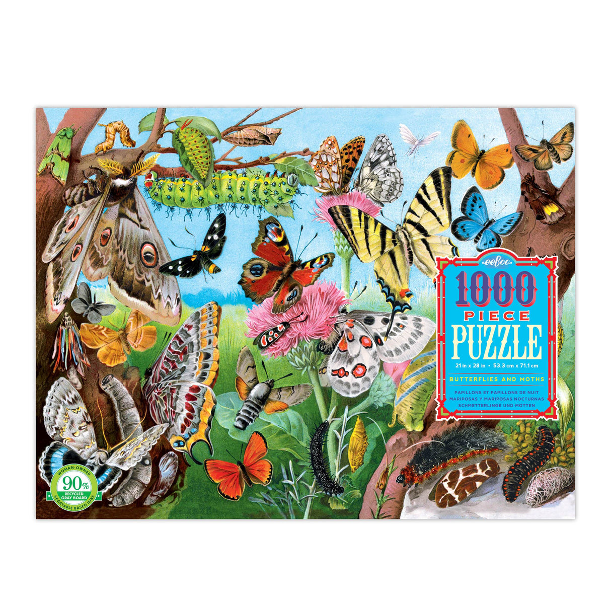 Butterflies and Moths 1000 pc