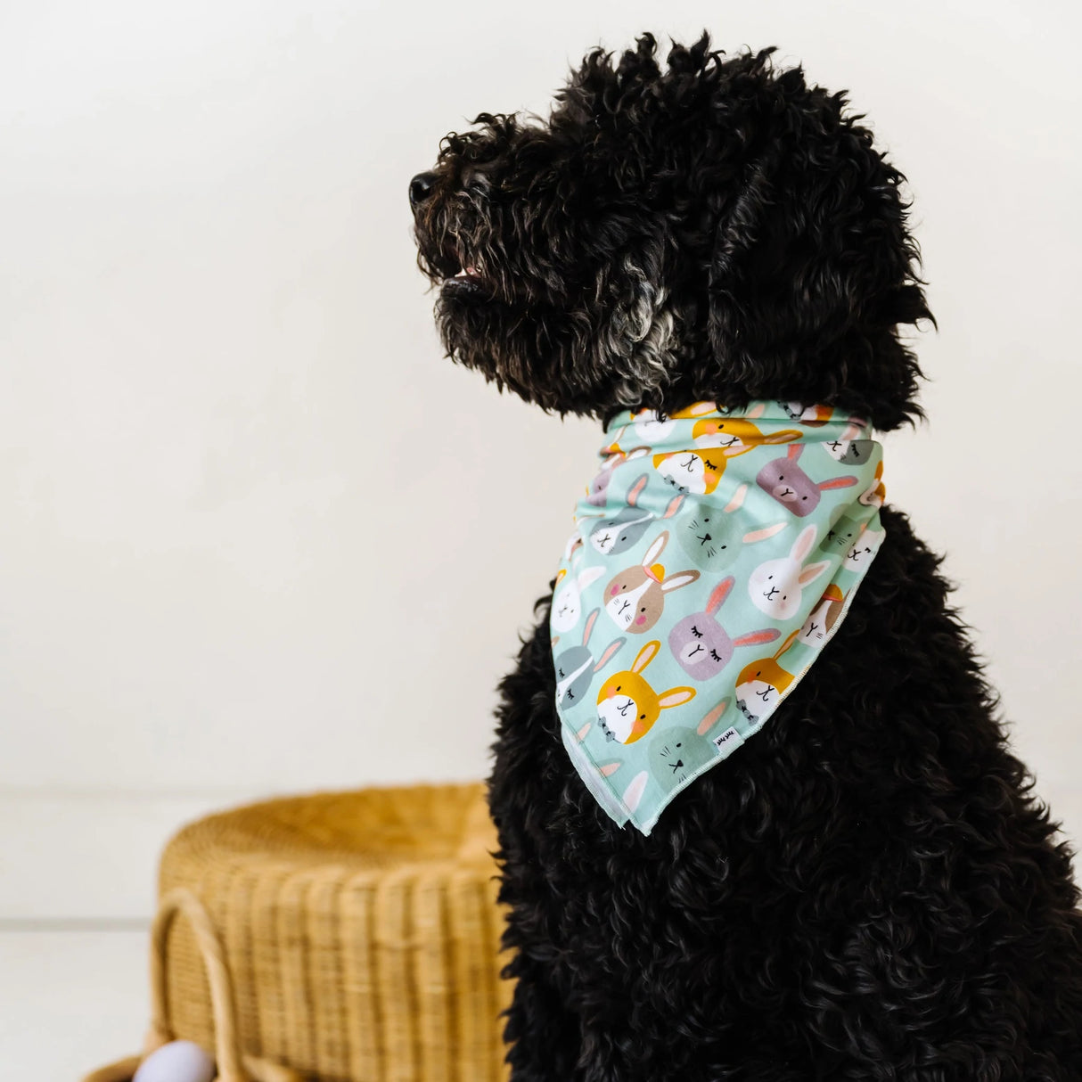 LIMITED EDITION Rad Rabbits Bamboo Viscose Pet Bandana