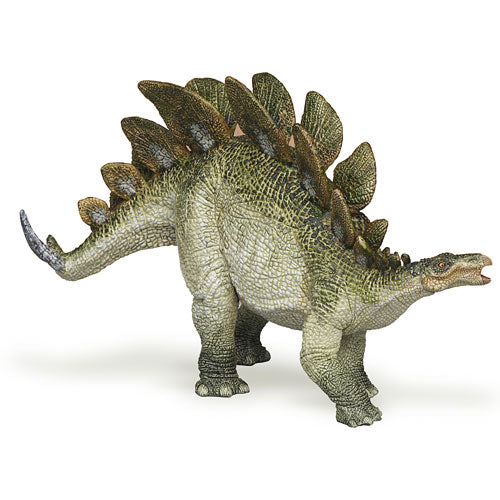 Stegosaurus