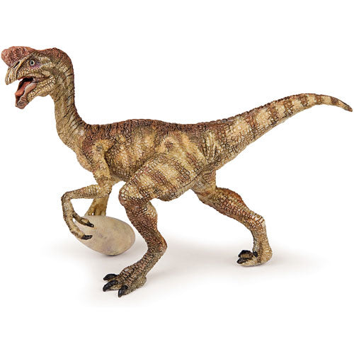Oviraptor