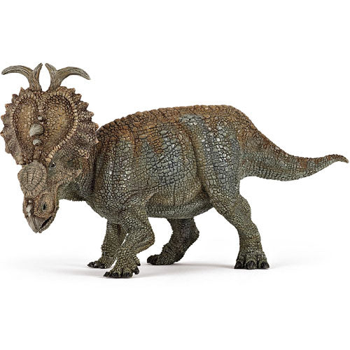 Pachyrhinosaurus