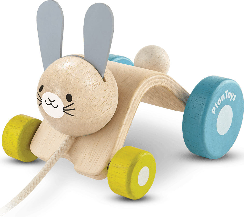 Hopping Rabbit