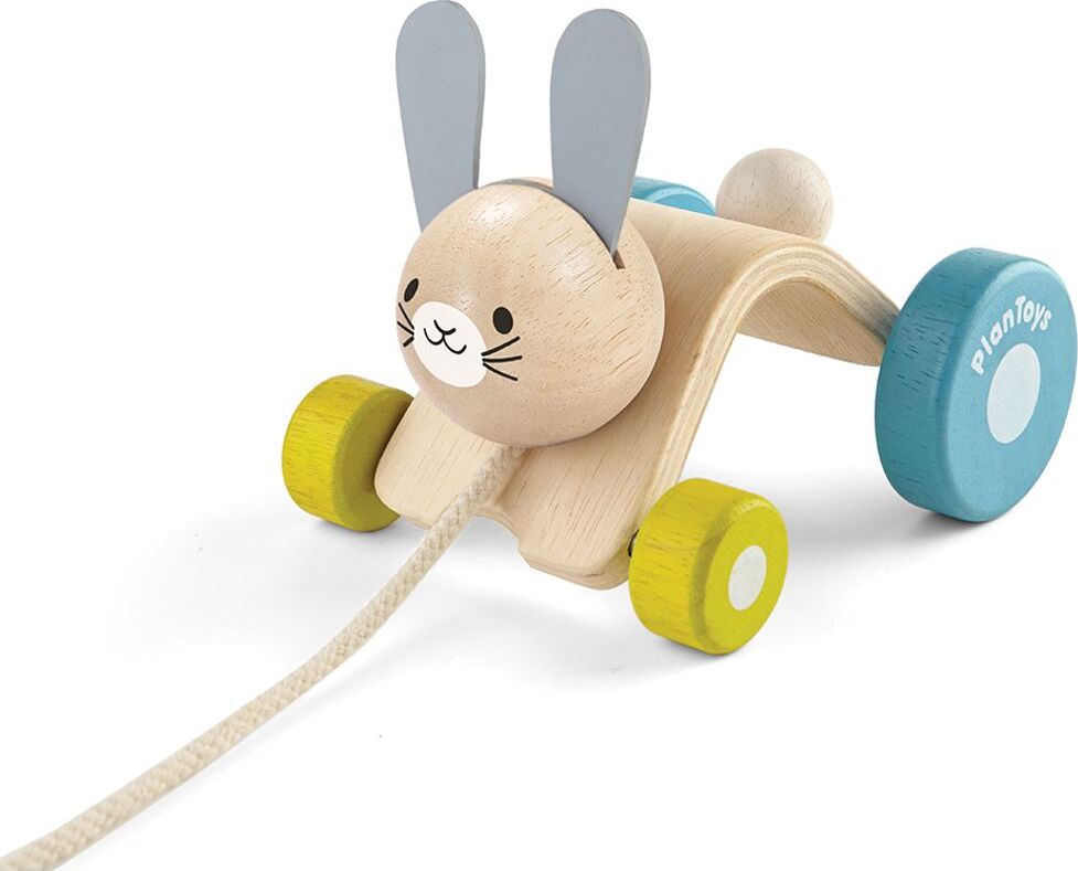 Hopping Rabbit