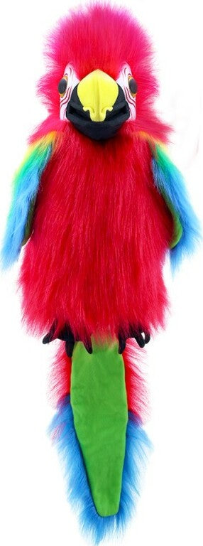 Large Birds - Amazon Macaw