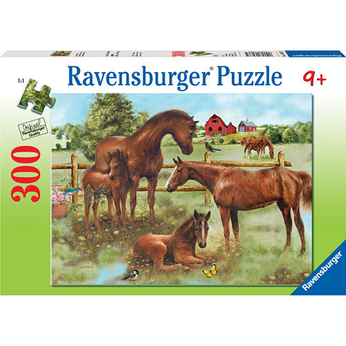 Horse Family