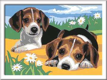Ravensburger CreArt Jack Russell Puppy Color by Numbers Kit