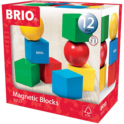 Magnetic Blocks