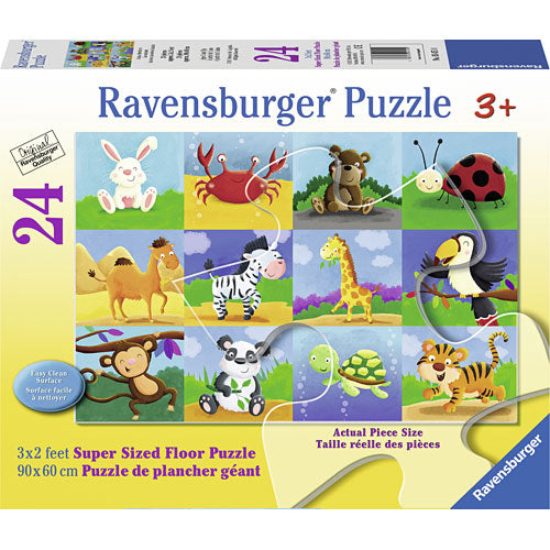 Animal Adventures