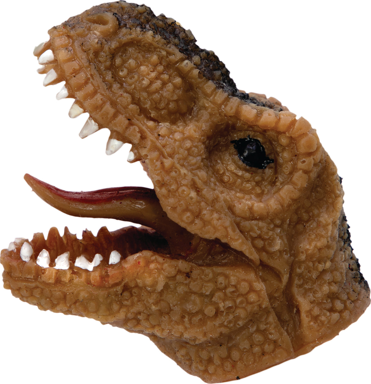 Baby Dino Snappers