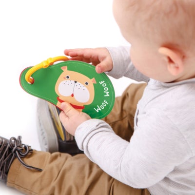 Sounds All Around Animals