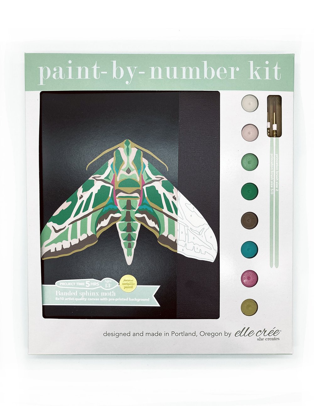 Paint-by-Number Sphinx Moth
