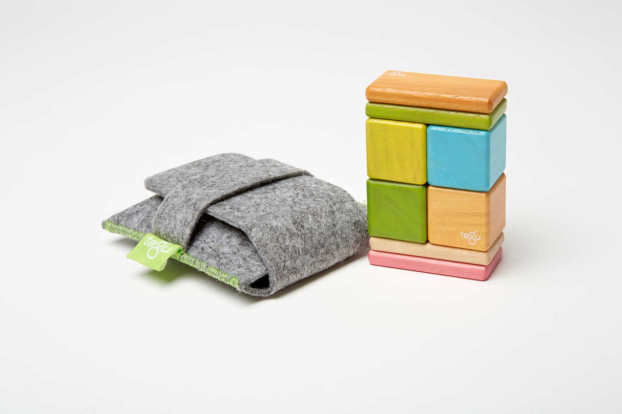 8 piece Pocket Pouch - Tegu Tints