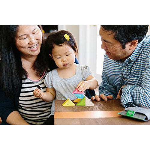 8 piece Pocket Pouch - Tegu Tints