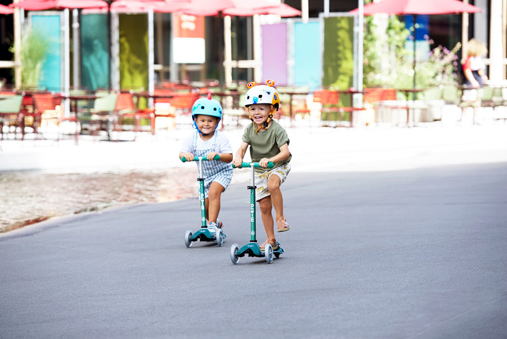 Micro Mini Deluxe ECO