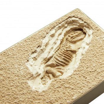 I Dig It! Dinos - T. Rex Excavation Kit