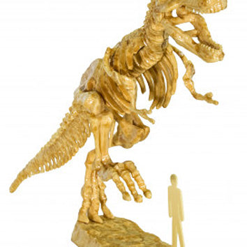 I Dig It! Dinos - 3D T. Rex Excavation Kit