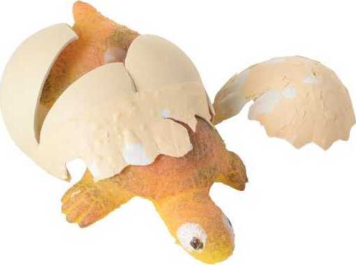 Hatch 'N Grow Turtle