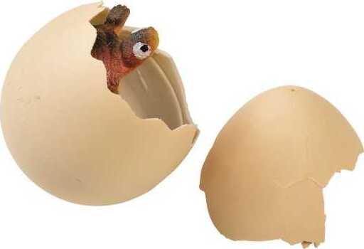 Hatch 'N Grow Turtle