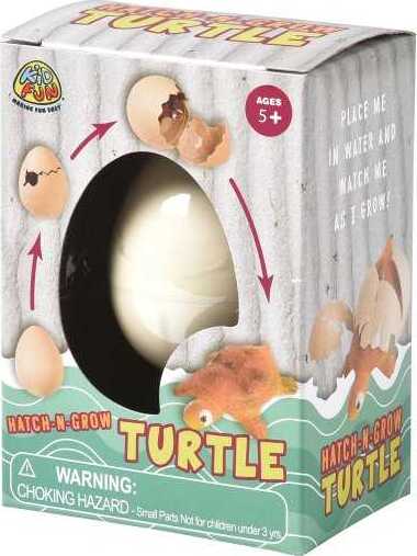 Hatch 'N Grow Turtle