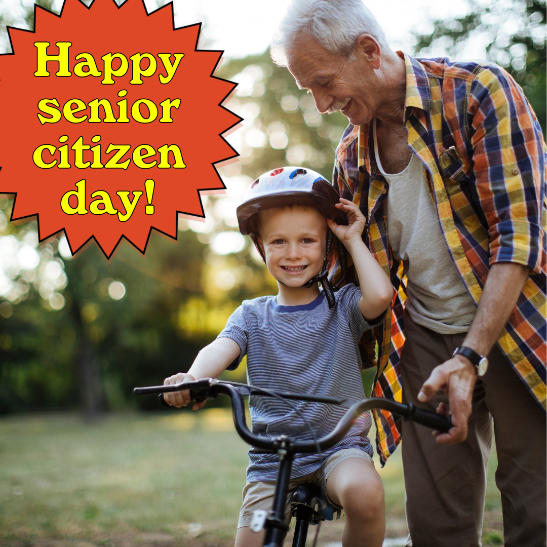 Celebrate Senior Citizen Day with 20% Off at Gingerbread House Toys!