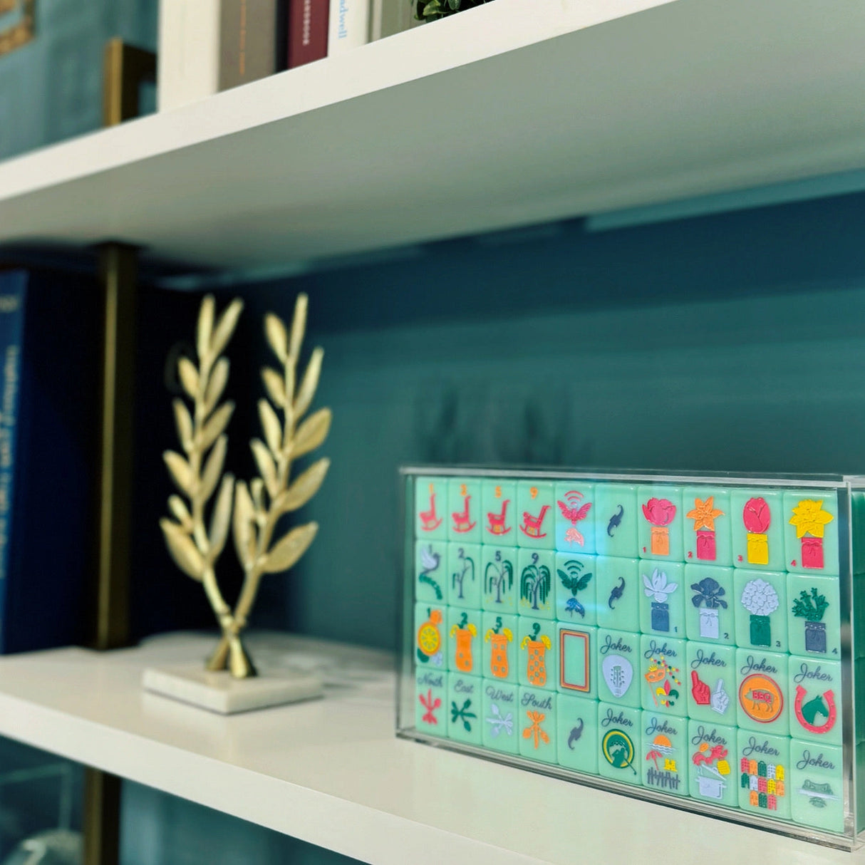 Mahjong Clear Acrylic Storage Box