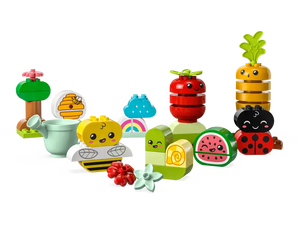 10984 Organic Garden