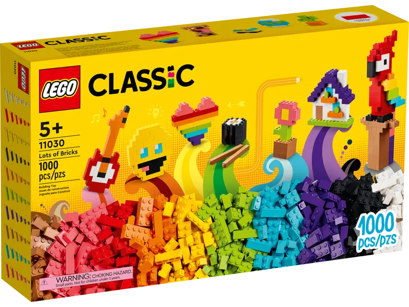 11030 Lots of Bricks